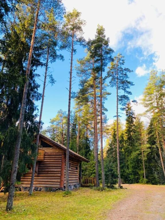 Turisticheskaya Derevnya Kurgala Hotel