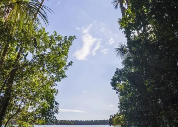 Guacamayo Ecolodge