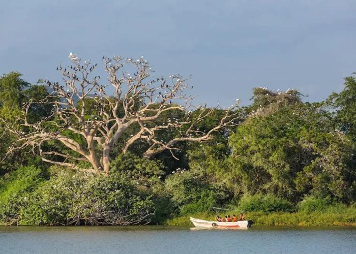 Cuyabeno Lodge