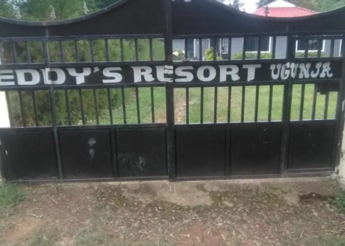 Eddys Resort