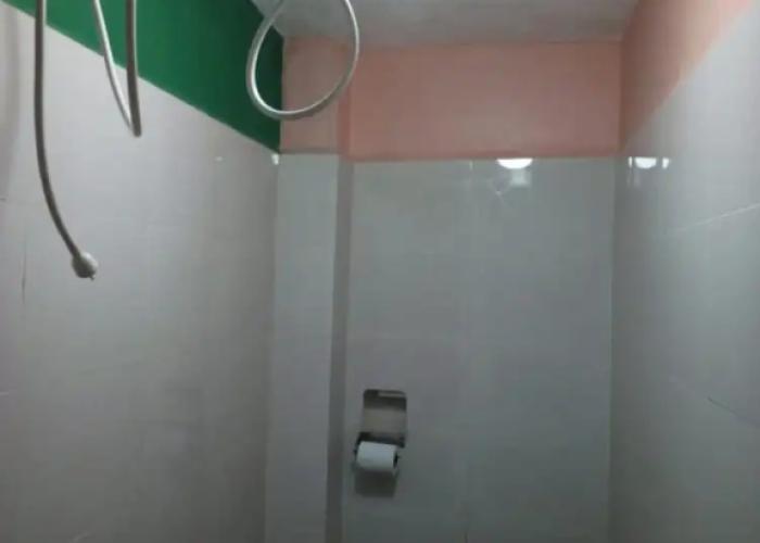 Zombewood Hotel