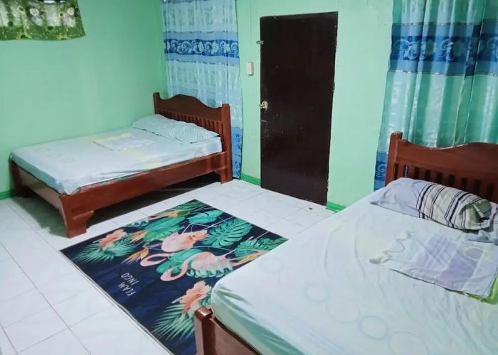Palm Garden Resort