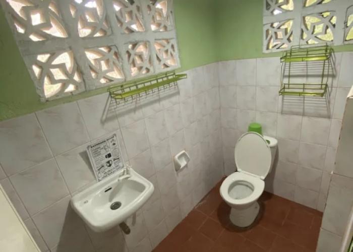 Palm Garden Resort
