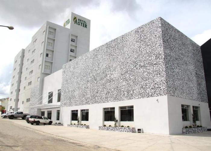 Hotel Áster