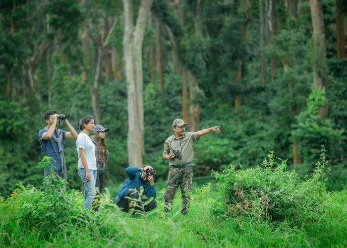 Ama Plantation Trails , Chikmagalur
