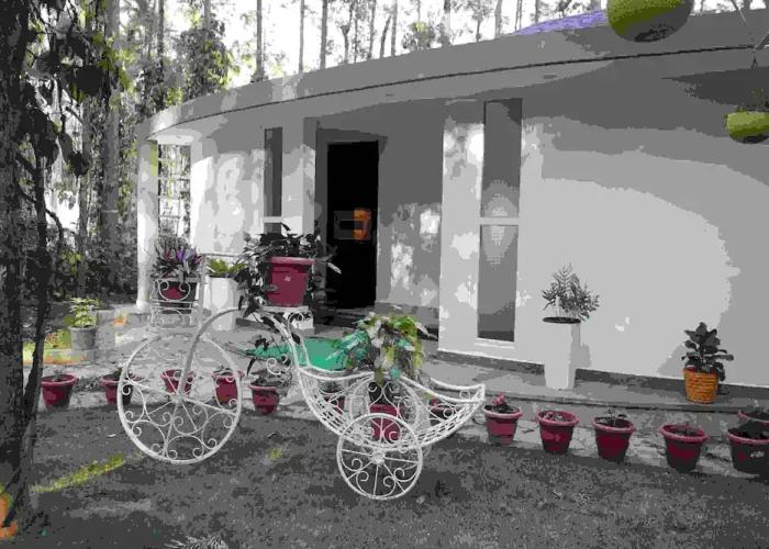One Piece Homestay