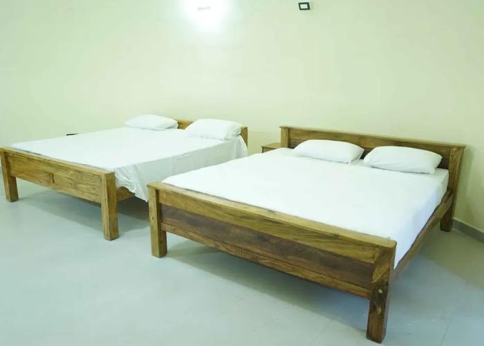 One Piece Homestay