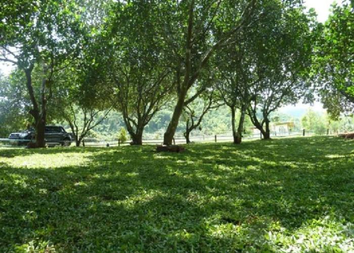 Monoko Porploen Resort Suanphung
