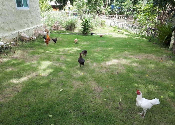 Hotel Baansongkhata