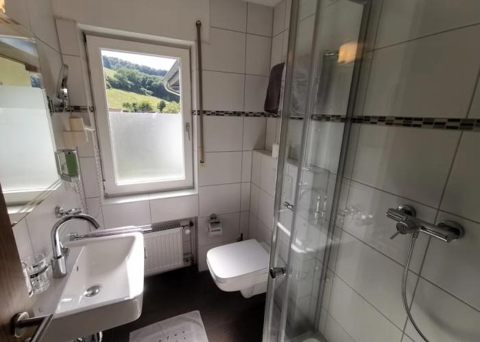 Hotel Landgasthof Grüner Baum