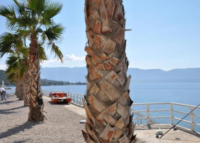 Coral Hotel & Resort