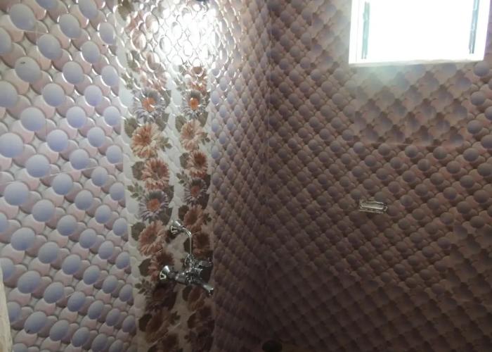 Jungle Nest Homestay