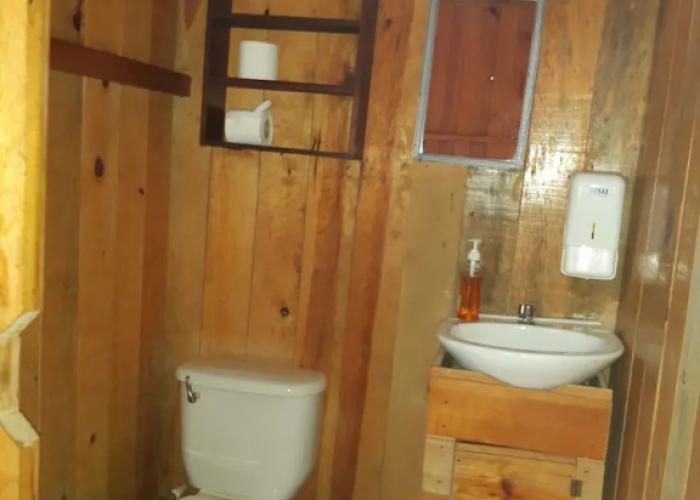 Hostal Oasis The Traveler - Hostel