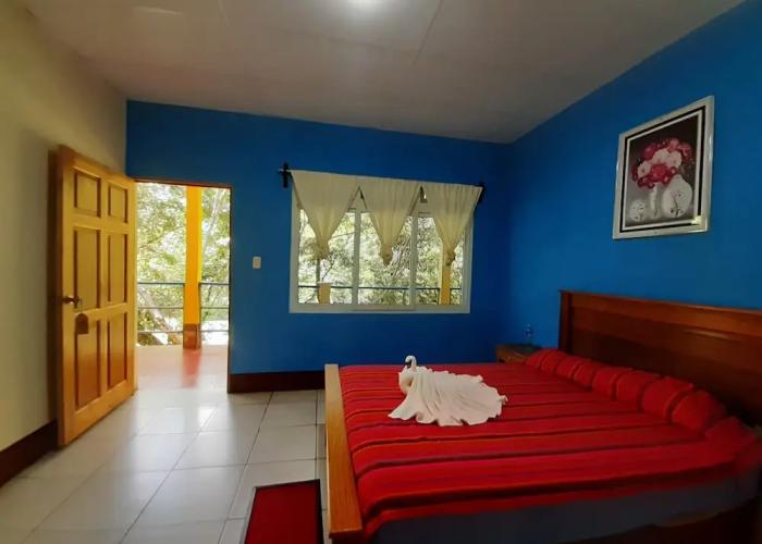 Hostal Oasis The Traveler - Hostel