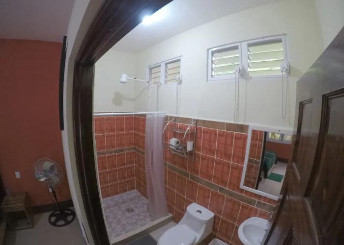 Hostal Oasis The Traveler - Hostel