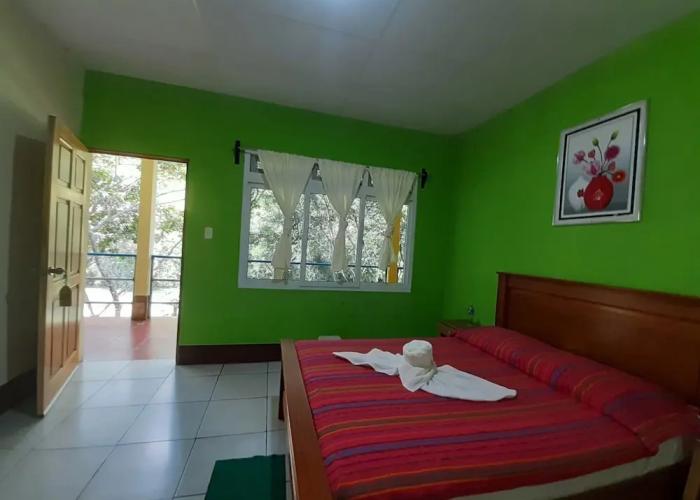 Hostal Oasis The Traveler - Hostel