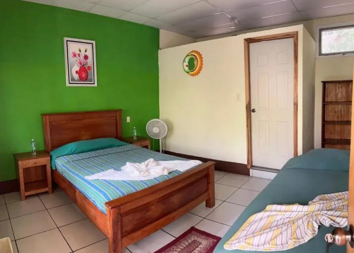 Hostal Oasis The Traveler - Hostel