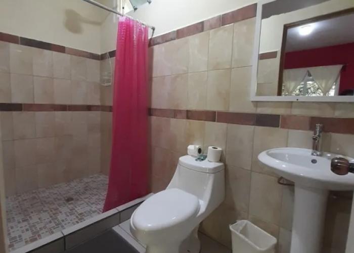 Hostal Oasis The Traveler - Hostel