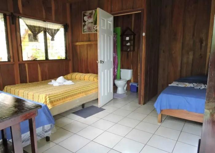Hostal Oasis The Traveler - Hostel