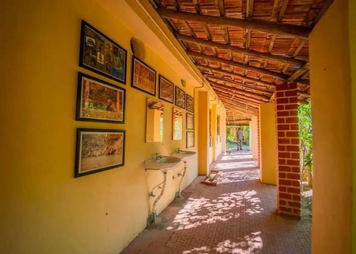 Camp Serai Tiger Tadoba