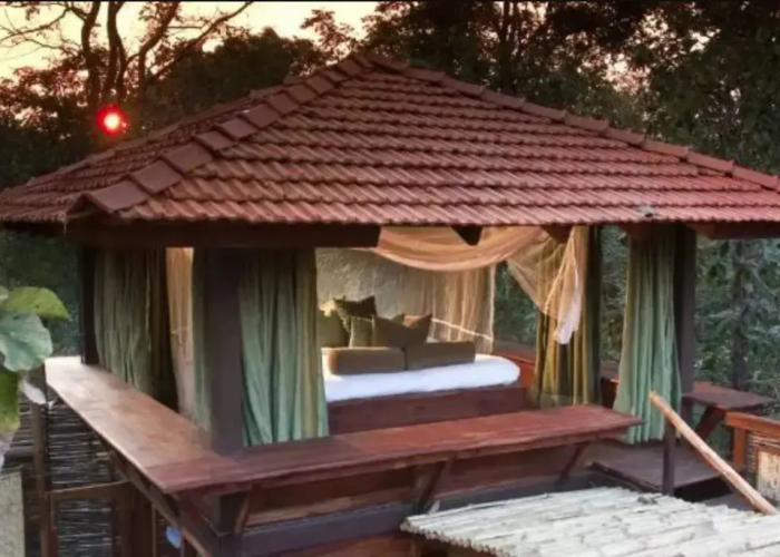 Hotel Safari Lodge