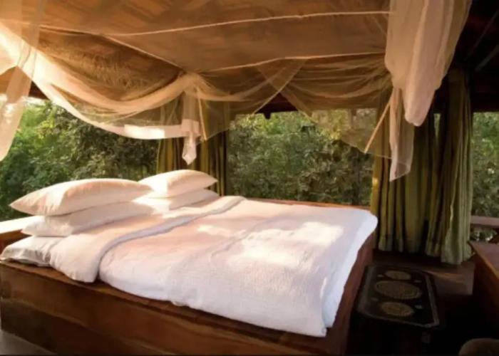 Hotel Safari Lodge