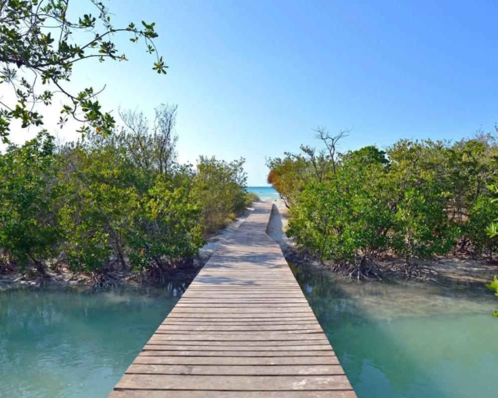 фото Sol Cayo Coco