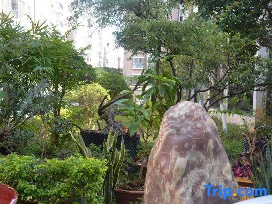 Jianshui zhuwuqing  homestay