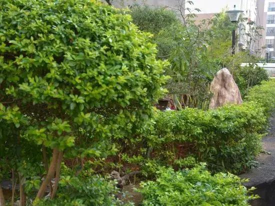 Jianshui zhuwuqing  homestay