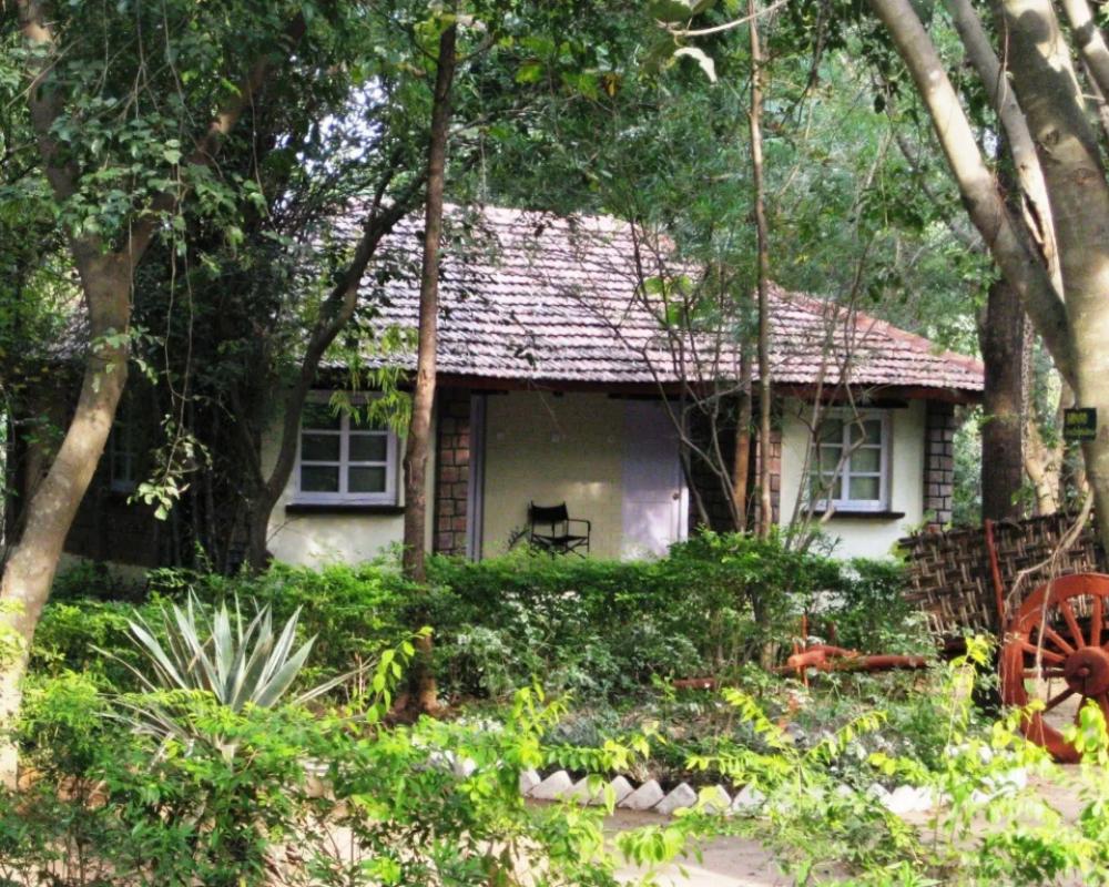 фото Tiger Trails Resorts