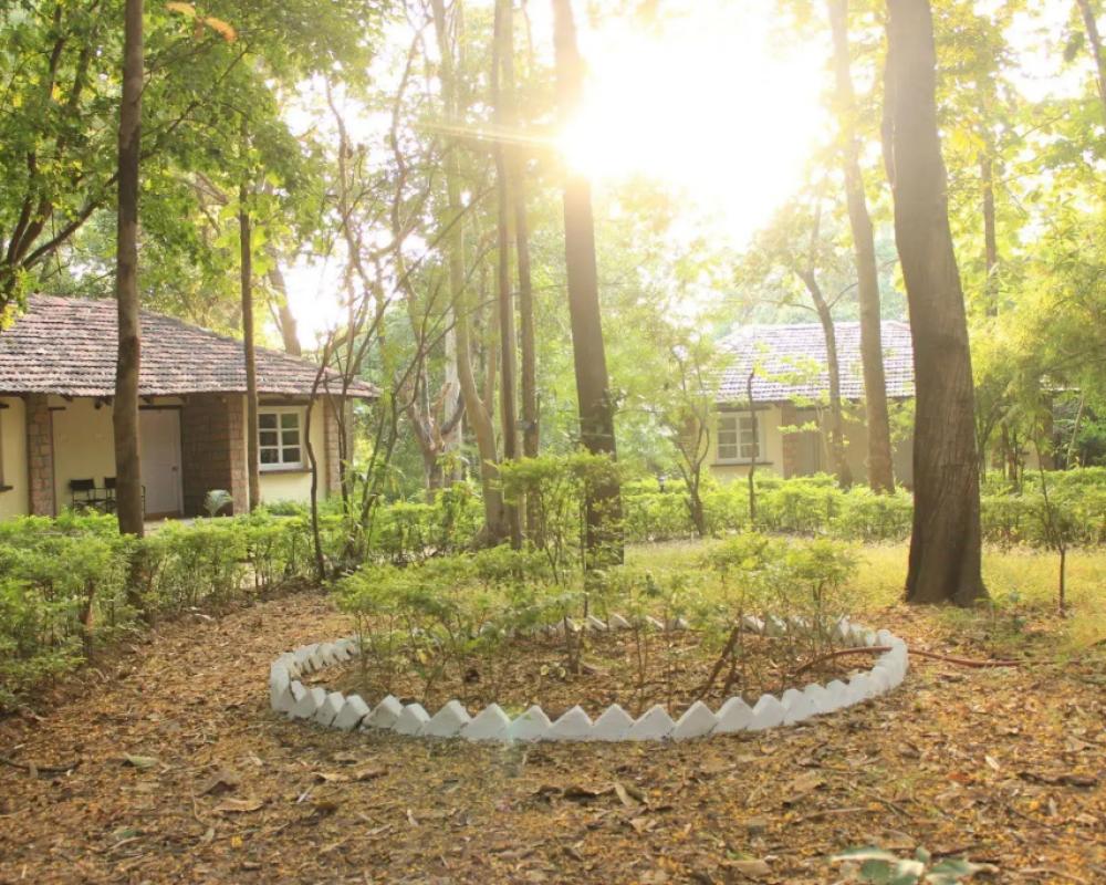 фото Tiger Trails Resorts