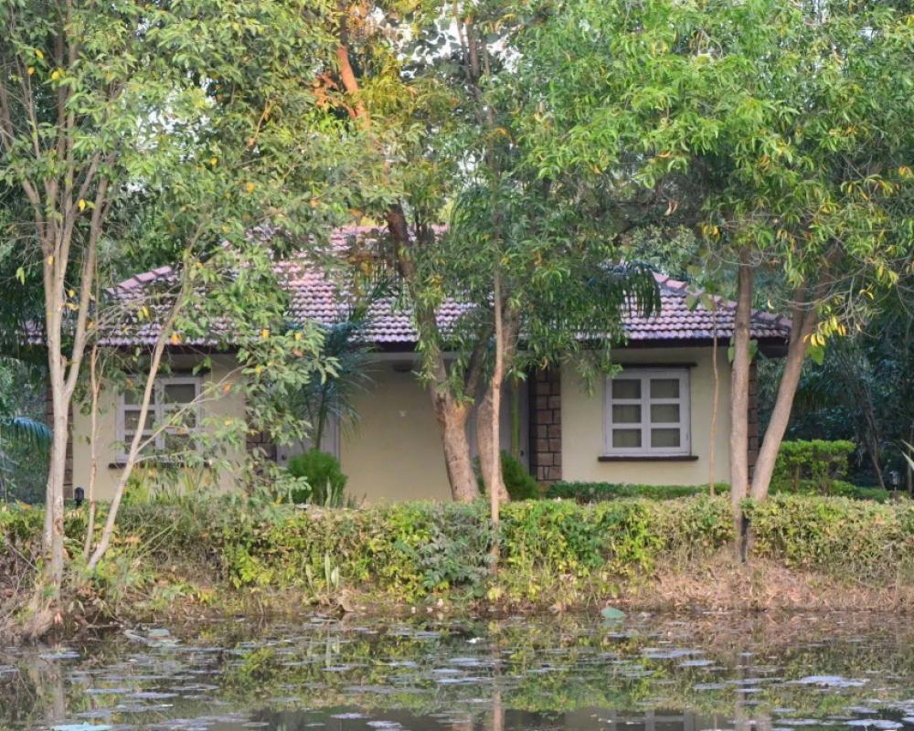 фото Tiger Trails Resorts