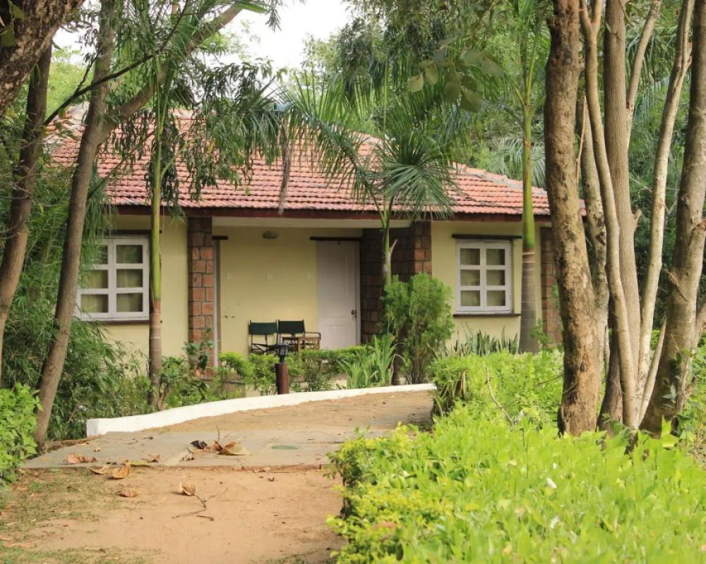 фото Tiger Trails Resorts