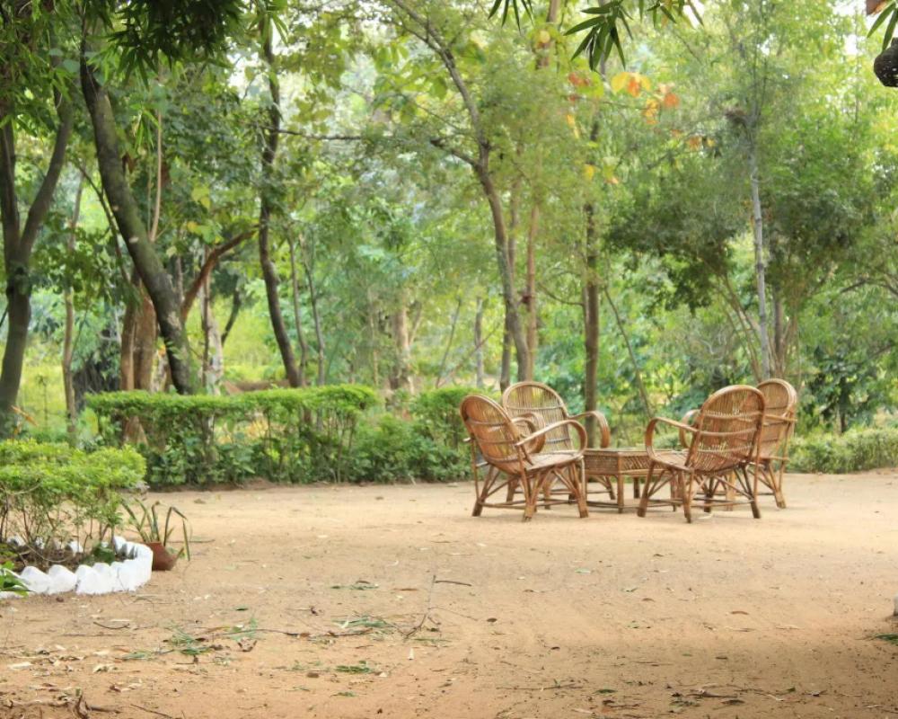 фото Tiger Trails Resorts