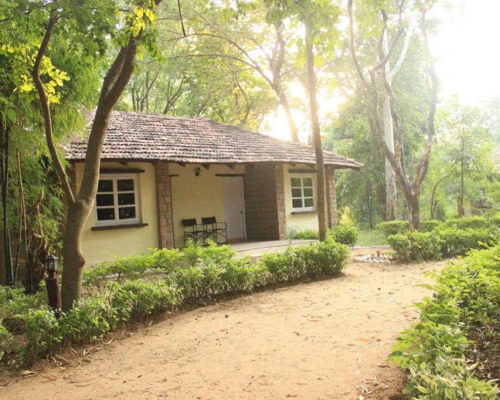 фото Tiger Trails Resorts