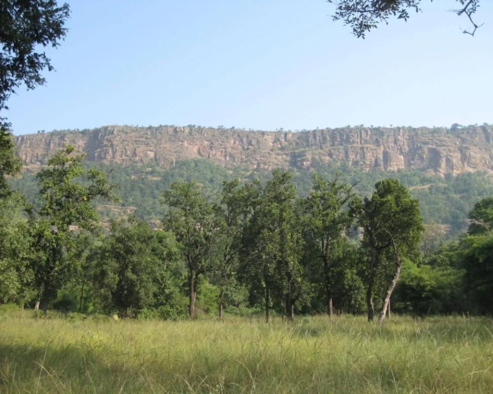 фото Tiger Trails Resorts