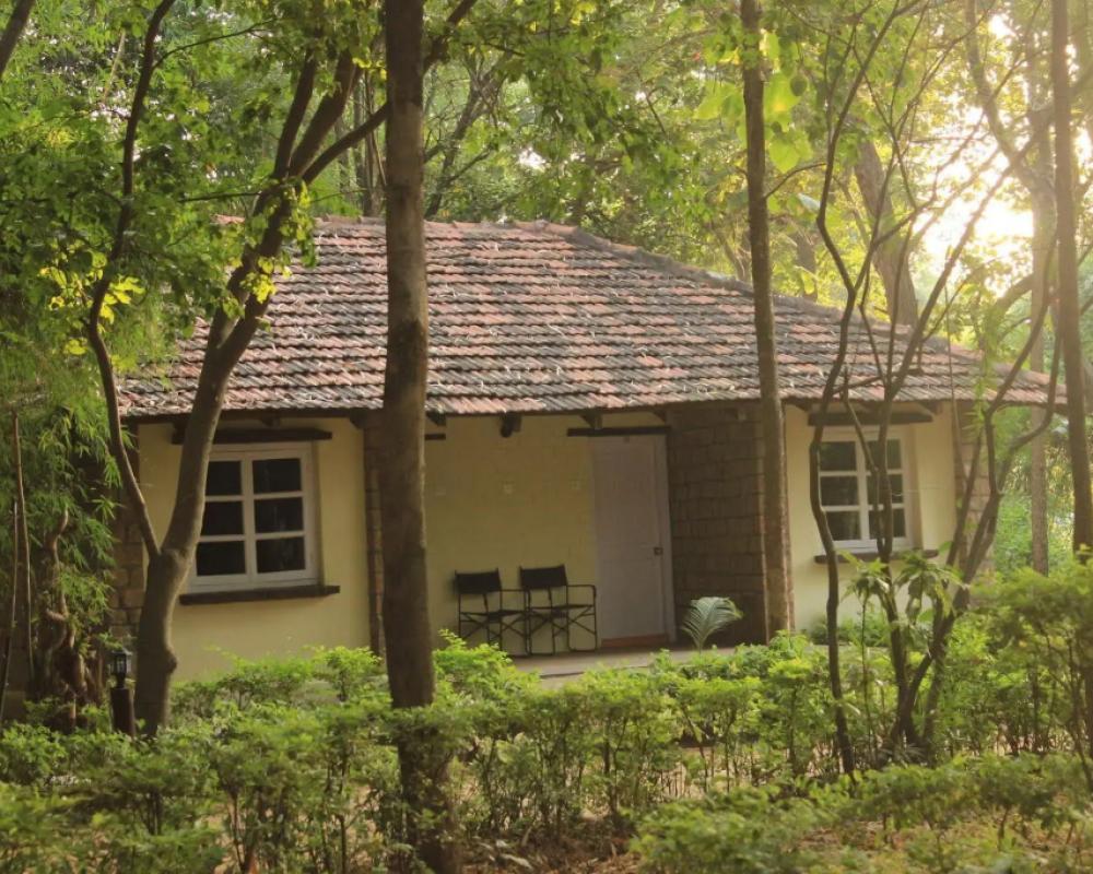 фото Tiger Trails Resorts