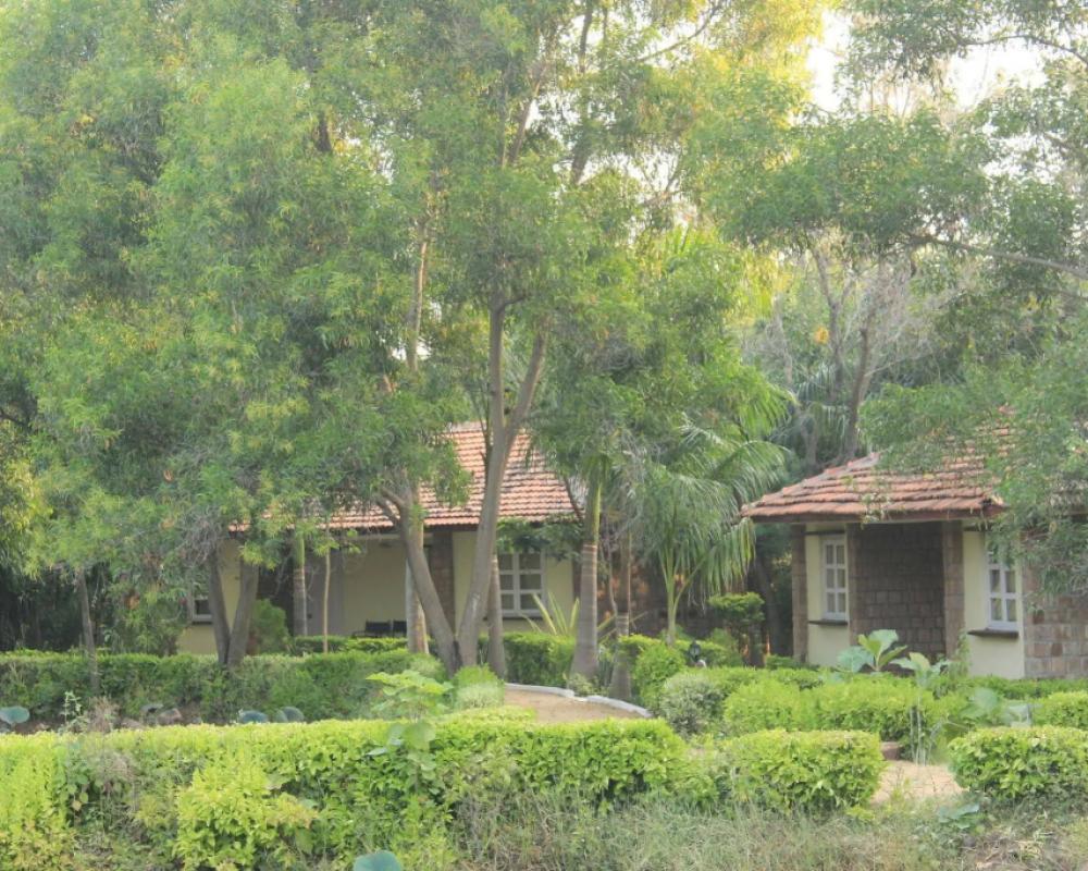 фото Tiger Trails Resorts