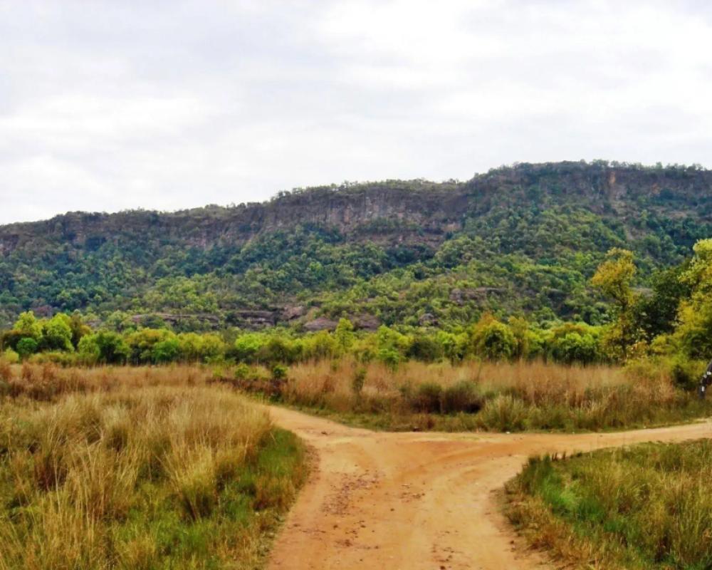 фото Tiger Trails Resorts