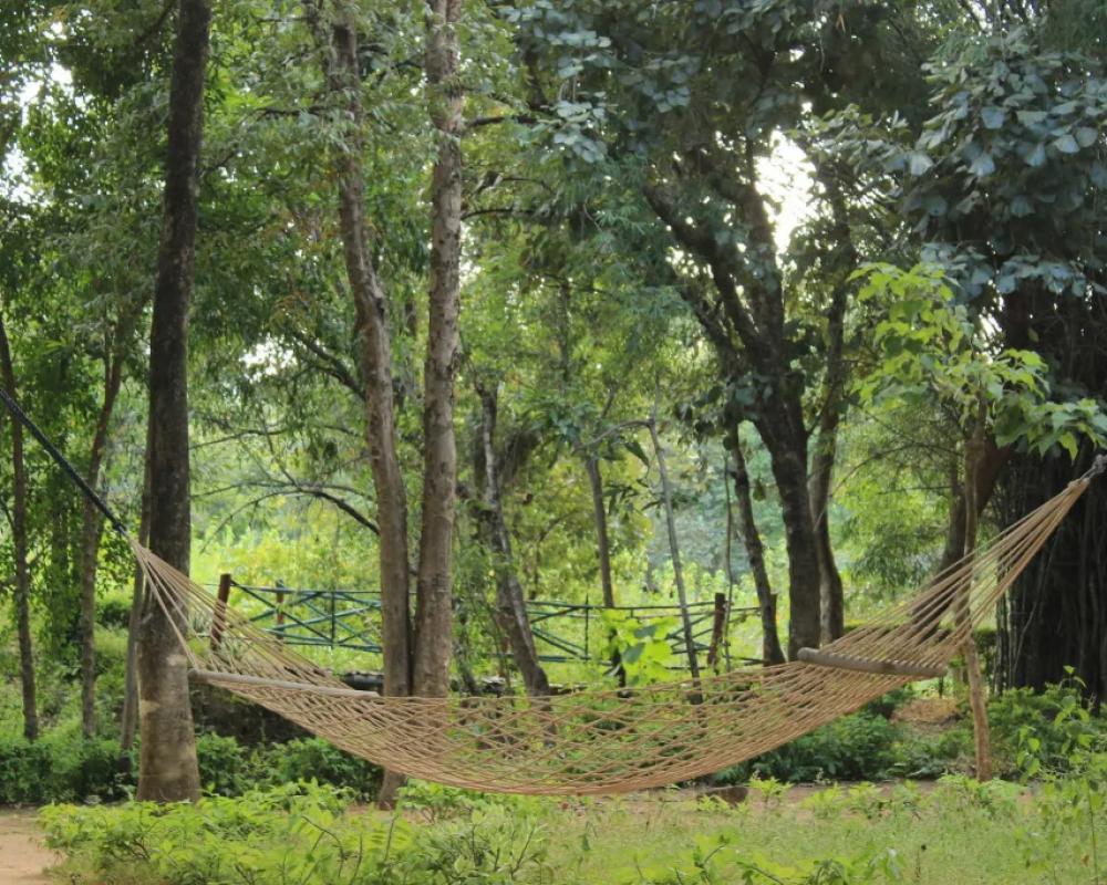 фото Tiger Trails Resorts