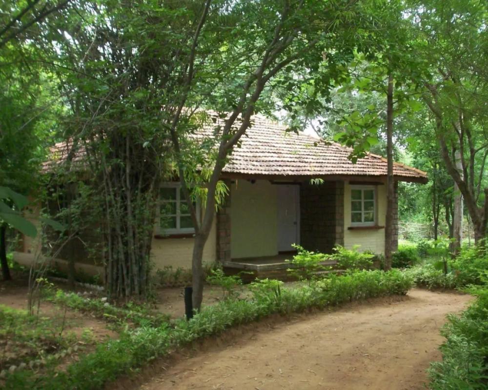 фото Tiger Trails Resorts