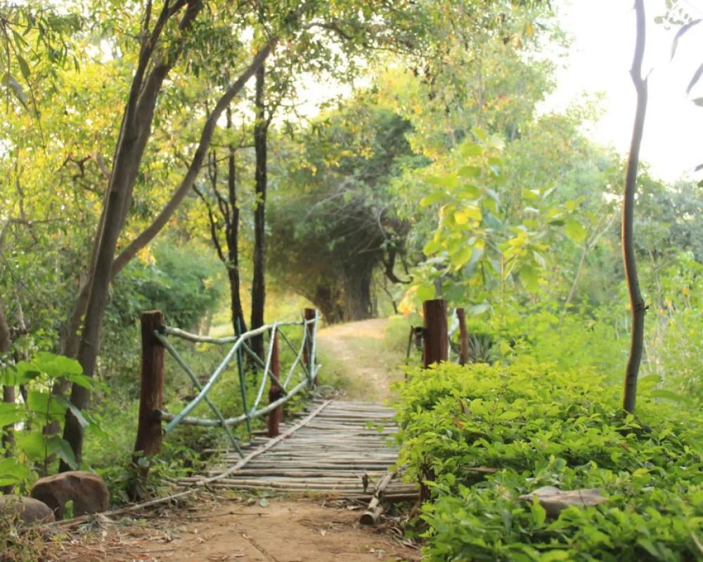 фото Tiger Trails Resorts