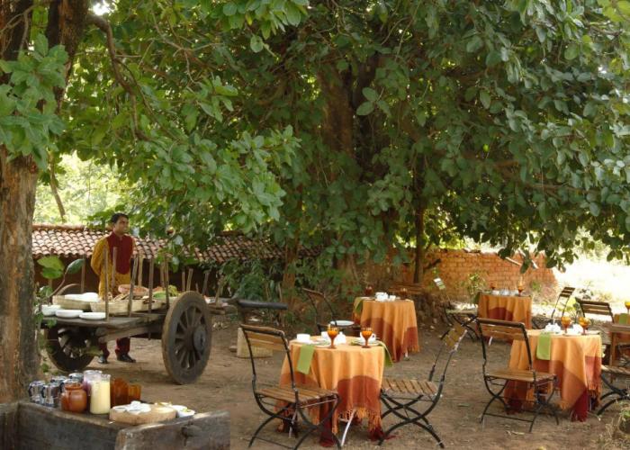 Mahua Kothi, Bandhavgarh National Park