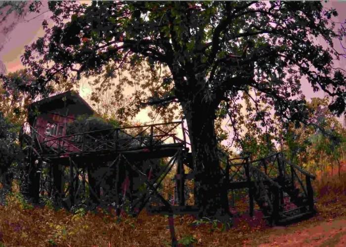 Pugdundee Safaris - Tree House Hideway Lodging House