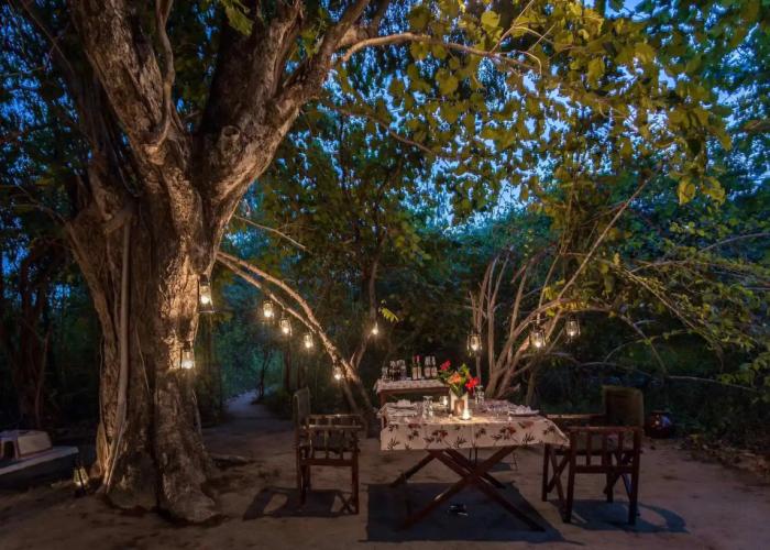 Pugdundee Safaris - Tree House Hideway Lodging House