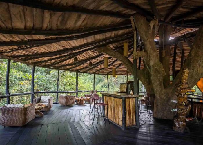 Pugdundee Safaris - Tree House Hideway Lodging House
