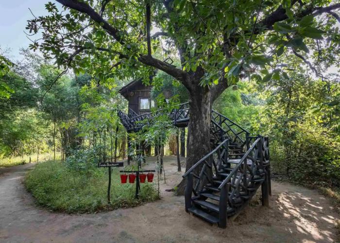 Pugdundee Safaris - Tree House Hideway Lodging House