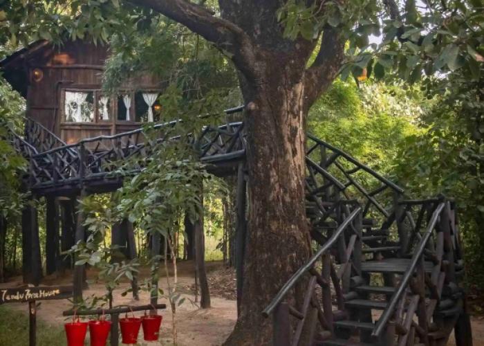 Pugdundee Safaris - Tree House Hideway Lodging House
