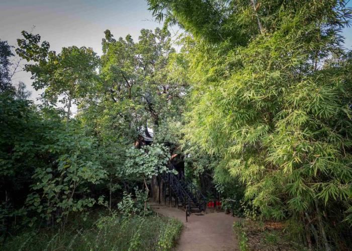 Pugdundee Safaris - Tree House Hideway Lodging House