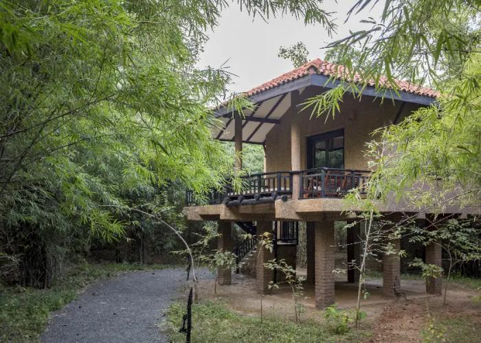 Pugdundee Safaris-king lodge Lodging house